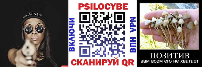 купить   Заринск  Псилоцибиновые грибы Magic Shrooms 
