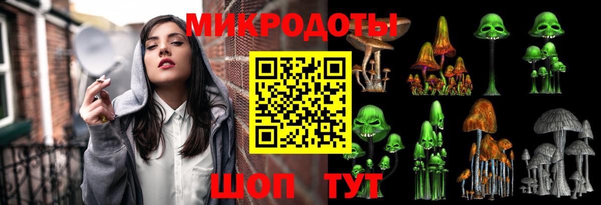 Галлюциногенные грибы Cubensis  Вход с VPN  Заринск 