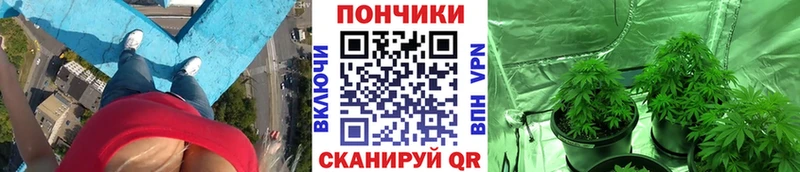 Бошки Шишки Bruce Banner Заринск